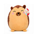 Soft Hedgehog Plush Toy